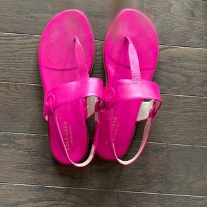 Barely worn excellent condition hot pink Cole Hasan flats!